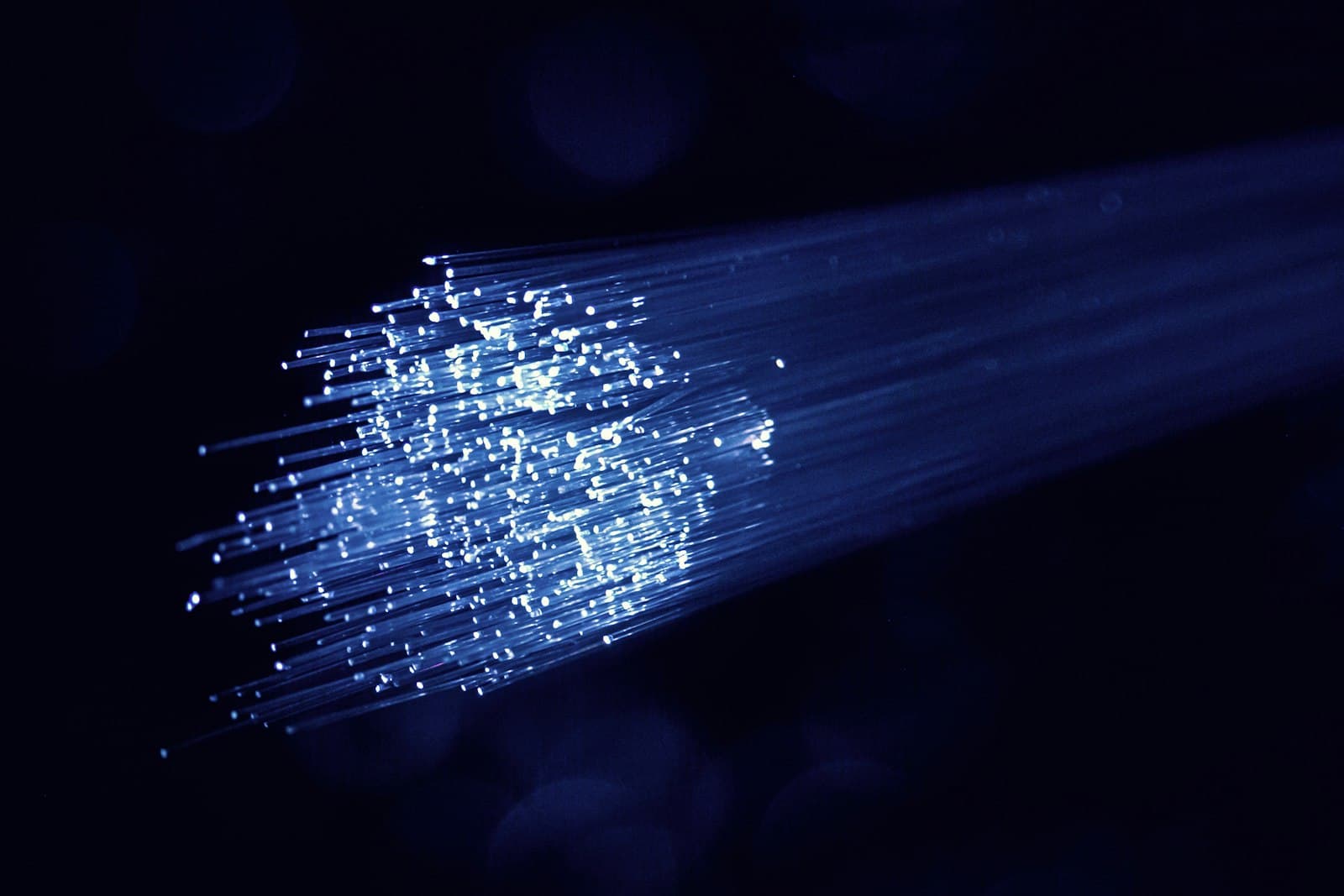 Blue fiber optic cable strands illuminated against a dark background